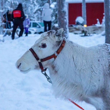 Skyfire Village Igloos Rovaniemi Exteriér fotografie