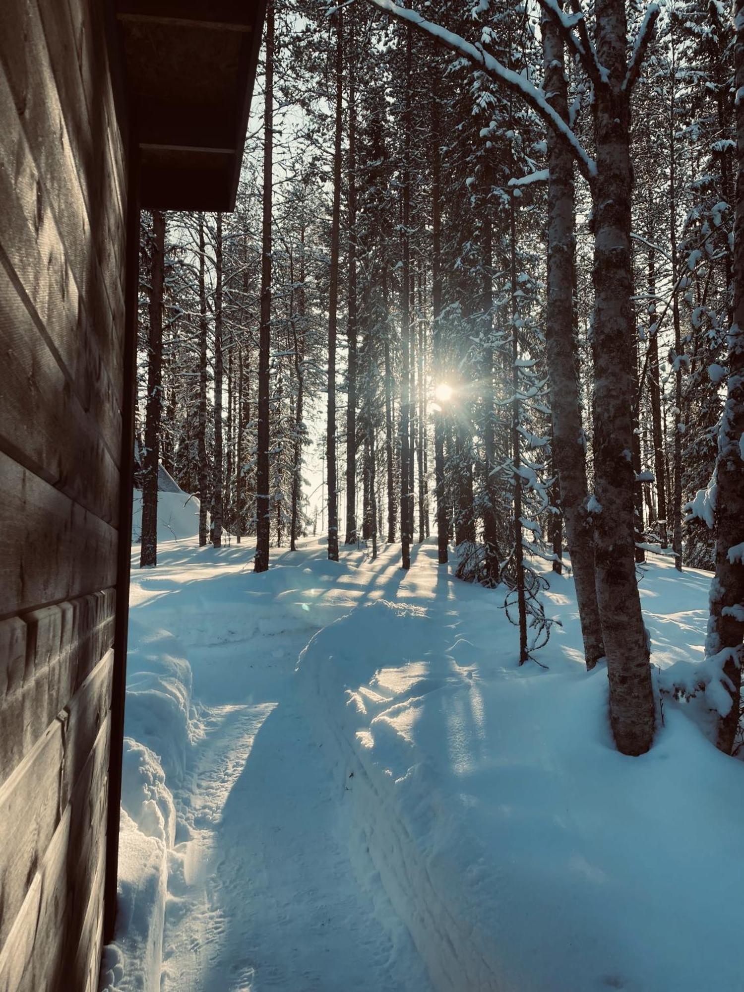 Skyfire Village Igloos Rovaniemi Exteriér fotografie