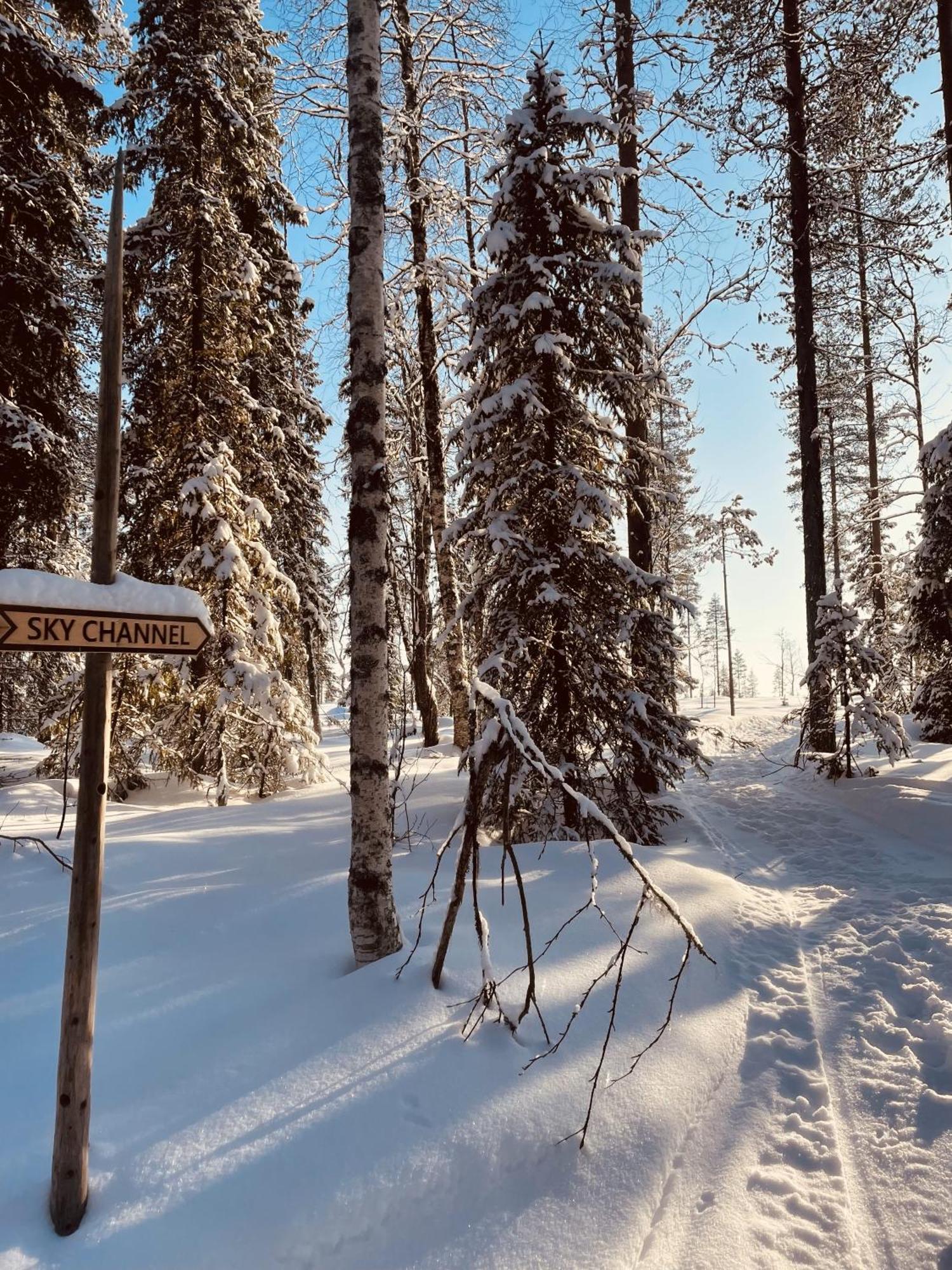 Skyfire Village Igloos Rovaniemi Exteriér fotografie