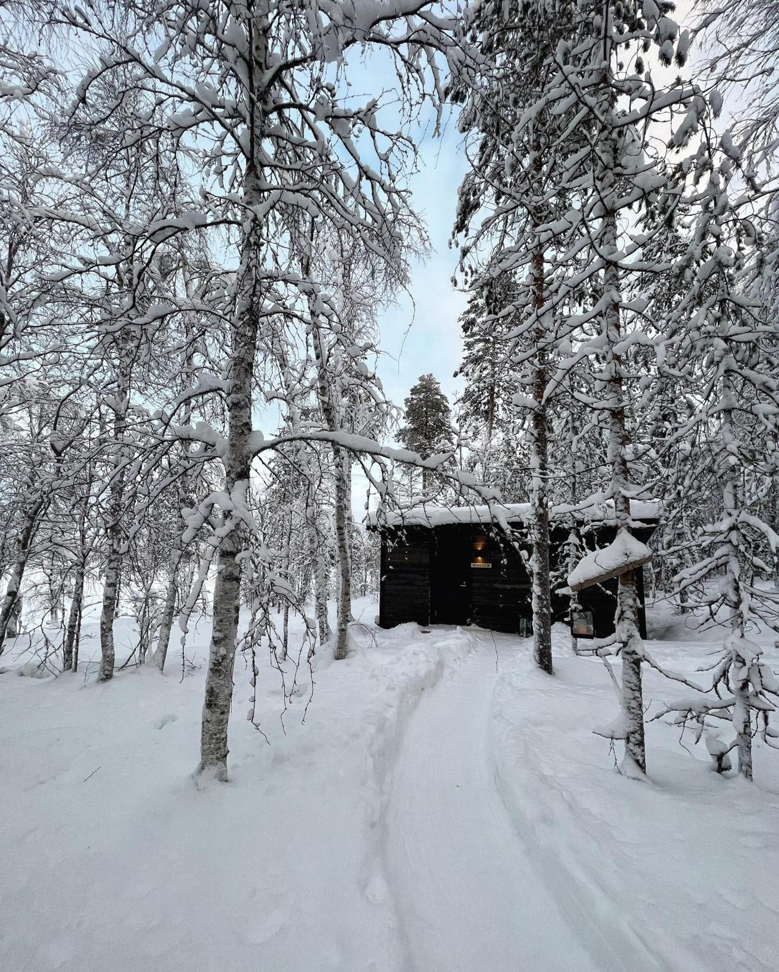 Skyfire Village Igloos Rovaniemi Exteriér fotografie